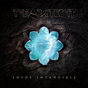 Lotus Intangible (single)