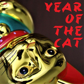 Year Of The Cat
