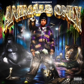 BabyChiefDoIt: ANIMALS ONLY