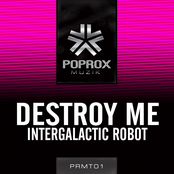 Intergalactic Robot
