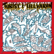 Turist i tillvaron vol 5