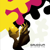 Calm Reality by Gaudium