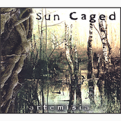 Painted Eyes by Sun Caged