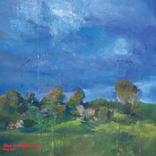 blue bird rain cloud