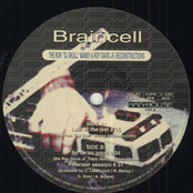 Peterson Session by Braincell