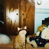 flowerswillgrowfrommygrave // sentimientos split