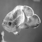 Quando voltamos 10 passos (ou avançamos, porque tanto faz)