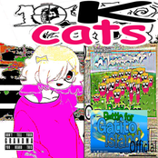 10k cats