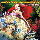 Blue Muppet by Infected Mushroom