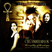 Heart On My Sleeve by The Crüxshadows