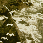 Ocean (single track)