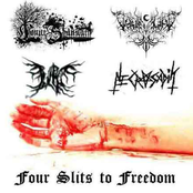 Four Slits to Freedom