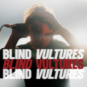 Blind Vultures