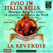 Svso In Italia Bella