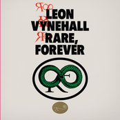 Leon Vynehall: Rare, Forever