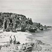 Penguin Island