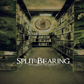 Split Bearing