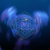 8D Bilateral EMDR Reality