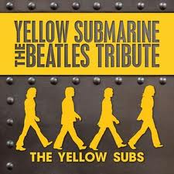 the yellow subs