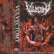 Post Abortion Slut F**k