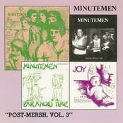 Below The Belt by Minutemen