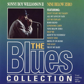 The Blues Collection 10: Nine Below Zero