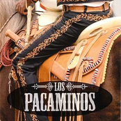 los pacaminos