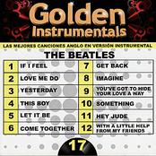 Golden Instrumentals, Vol. 17: The Beatles