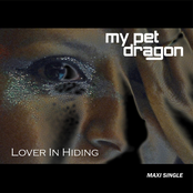 Lover In Hiding - Maxi Single