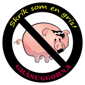 Skrik Som En Gris!