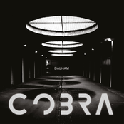 Cobra