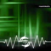 Reanimate