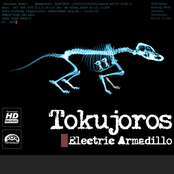 Electric Armadillo