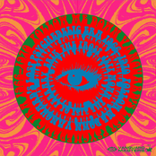 Follow Me Down: Vanguard's Lost Psychedelic Era (1966 - 1970)