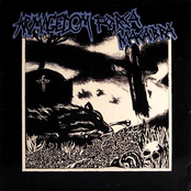 Túmulo Vago aos Próximos Que Irão Morrer Por Omissão