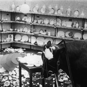 I Keep Getting Sicker