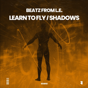 Learn to Fly / Shadows