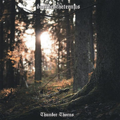 Thunder Thorns