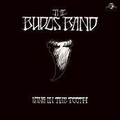 The Budos Band: Long in the Tooth