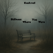 Stillness Where You Were