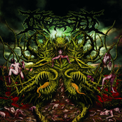 Ingested: Surpassing the Boundaries of Human Suffering