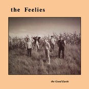 The Feelies: The Good Earth