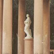 Ducks Ltd.: When You're Outside