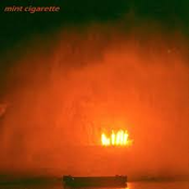 Mint Cigarette