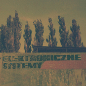 Elektroniczne Systemy