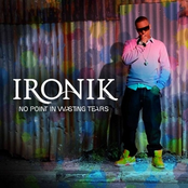 I Wanna Be Your Man by Ironik