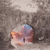 Lyndhurst: Platforms