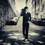 Pienten koirien kaupunginosa