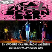 Vivo Musicamara Radio Valentin Letelier