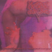 Infected Fragments Of Menstrual Sangria / .....The Women Are All Whores Also You Will Be Punished...!!!